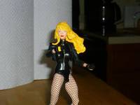 Black Canary (DC Universe) Custom Action Figure