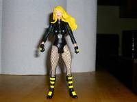 Black Canary (DC Universe) Custom Action Figure