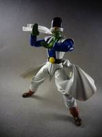 S.H Figuarts Epic Pikkon (Dragonball Z) Custom Action Figure