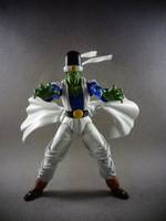 S.H Figuarts Epic Pikkon (Dragonball Z) Custom Action Figure