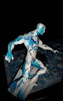 Silver Surfer (Silver Surfer) Custom Action Figure