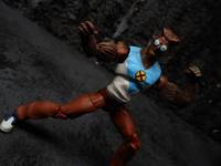Vivisector (Marvel Universe) Custom Action Figure