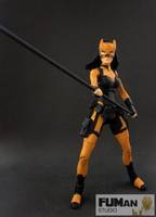 DC Young Justice Tigress (DC Superheroes) Custom Action Figure