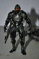 Spartan Soldier (Revoltech) Custom Action Figure