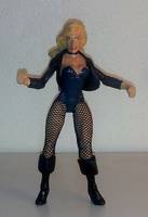 BLACK CANARY II Dinah Laurel Lance (DC Universe) Custom Action Figure