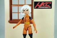 Drew Saturday (Secret Saturdays Figure) (Misc) Custom Action Figure