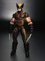 Wolverine (Astonishing Brown Concept) (Marvel Universe) Custom Action Figure