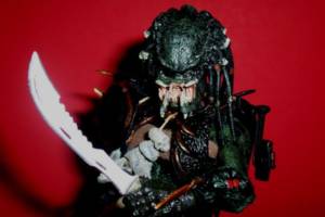 Amazon Predette (Predator) Custom Action Figure