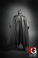 DCUC Batman Dick Grayson (DC Universe) Custom Action Figure