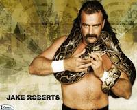 Jake "the Snake" Roberts (Wrestling) Custom Action Figure