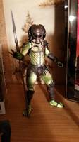 Battle Damage Renegade Predator (Predator) Custom Action Figure
