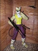 Old Hobb (Teenage Mutant Ninja Turtles) Custom Action Figure