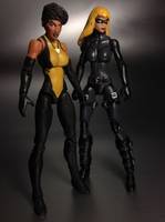 Vixen (DC Infinite Heroes) Custom Action Figure