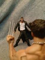 Sabretooth (Marvel Select) Custom Action Figure