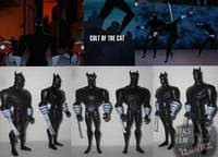 Cat Ninjas ( TNBA ) (Batman Animated) Custom Action Figure