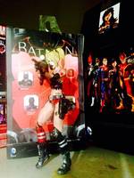 Harley Quinn (Batman - Arkham City) Custom Action Figure