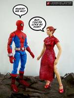 Spider-Man 70's TV Show  (Nick Hammond) (Marvel Legends) Custom Action Figure