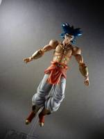 S.H Figuarts Broly (Dragonball Z) Custom Action Figure