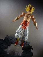 S.H Figuarts Broly (Dragonball Z) Custom Action Figure