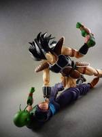 S.H Figuarts Raditz (Dragonball Z) Custom Action Figure