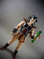 S.H Figuarts Raditz (Dragonball Z) Custom Action Figure