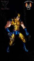 Wolverine (Marvel Legends) Custom Action Figure