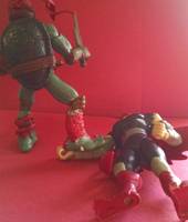 Raphael (Teenage Mutant Ninja Turtles) Custom Action Figure
