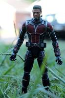 Ant-Man (MCU) (Ant-Man) Custom Action Figure