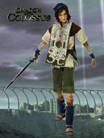Shadow of the Colossus Agro & Wander (Legend of Zelda) Custom Action Figure