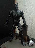 Black Panther (DC Universe) Custom Action Figure