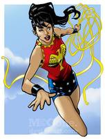 WONDER GIRL Donna Troy Teen Titans Member (DC Universe) Custom Action Figure