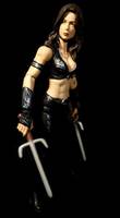 Elektra (Daredevil Movie 2003) (Marvel Legends) Custom Action Figure