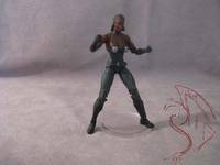 Frenzy (Marvel Universe) Custom Action Figure