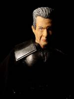 Magneto (old) DOFP  movie (X-Men - Movies) Custom Action Figure