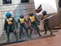 Leonardo (Teenage Mutant Ninja Turtles) Custom Action Figure