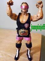 Owen Hart (Jakks Deluxe Style) (Wrestling) Custom Action Figure
