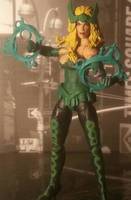 (Amora) The Enchantress (DC Direct) Custom Action Figure