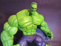 Hulk (Pitt Style) (Marvel Legends) Custom Action Figure