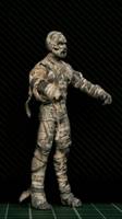 Monster squad Mummy (Horror) Custom Action Figure