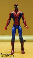 Spider-Man (Marvel Universe) Custom Action Figure