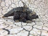 Burrowing Horror (Misc) Custom Miniature / Figurine