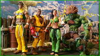 Laura Matsuda (Street Fighter V) (Street Fighter) Custom Action Figure [Fighters from Brasil!!]