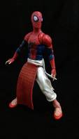 Spider-man India (Marvel Legends) Custom Action Figure