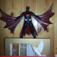 Batman Beyond (Batman Beyond) Custom Action Figure