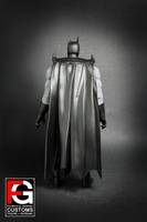 DCUC Batman Flashpoint Paradox (DC Universe) Custom Action Figure