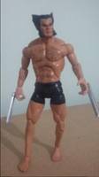 Wolverine (X-Men) Custom Action Figure