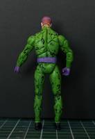 The Riddler (Batman) Custom Action Figure