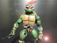 Raphael (Teenage Mutant Ninja Turtles) Custom Action Figure