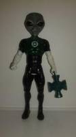 Gray'LYN (DC Superheroes) Custom Action Figure