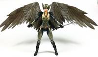 Hawkgirl (Legends of Tomorrow) (DC Universe) Custom Action Figure